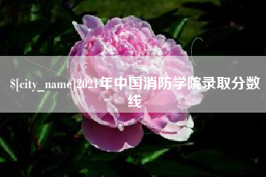 瑞安2021年中国消防学院录取分数线