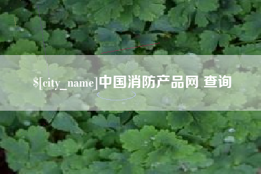 瑞安中国消防产品网 查询