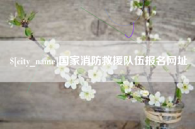 瑞安国家消防救援队伍报名网址