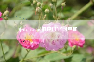 瑞安消控证官网查询