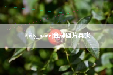 瑞安金牌图片真实