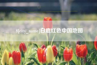 瑞安白底红色中国地图