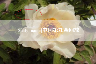 瑞安中国第九金回放