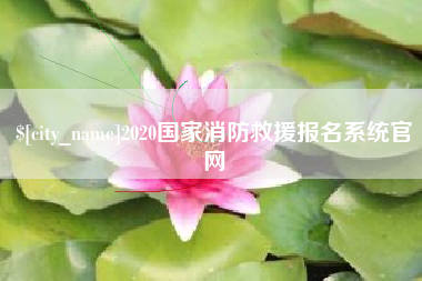 瑞安2020国家消防救援报名系统官网