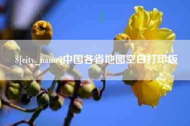 瑞安中国各省地图空白打印版