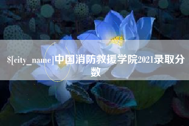 瑞安中国消防救援学院2021录取分数