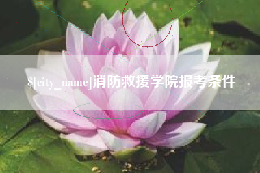 瑞安消防救援学院报考条件