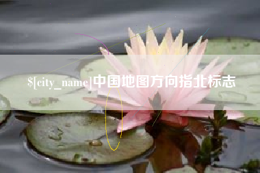 瑞安中国地图方向指北标志