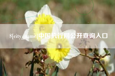 瑞安中国执行网公开查询入口