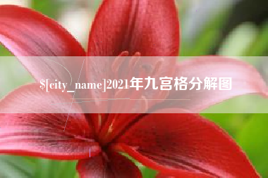 瑞安2021年九宫格分解图