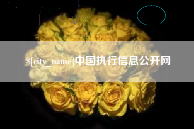 瑞安中国执行信息公开网