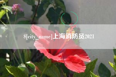 瑞安上海消防员2021