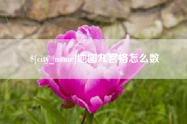 瑞安地图九宫格怎么数