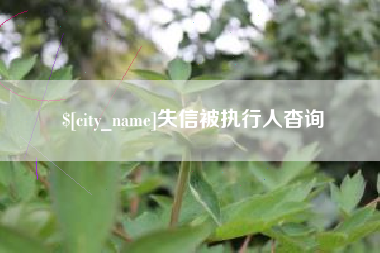 瑞安失信被执行人杳询