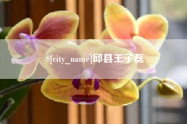 瑞安邱县王子磊