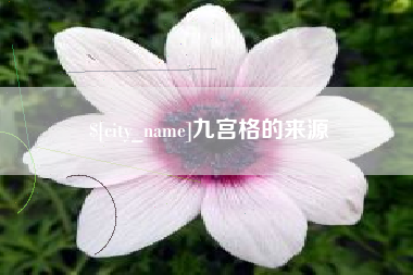 瑞安九宫格的来源
