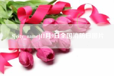 瑞安11月9日全国消防日图片