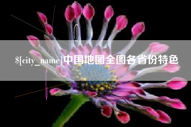 瑞安中国地图全图各省份特色