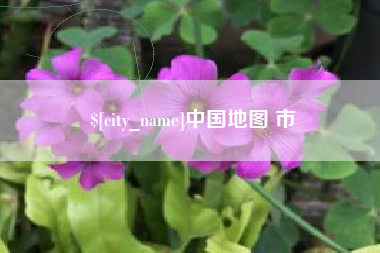 瑞安中国地图 市