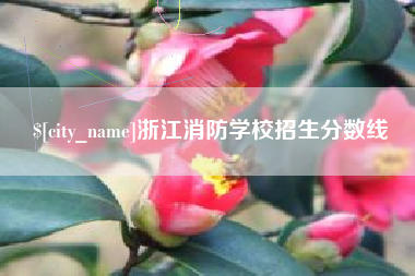 瑞安浙江消防学校招生分数线