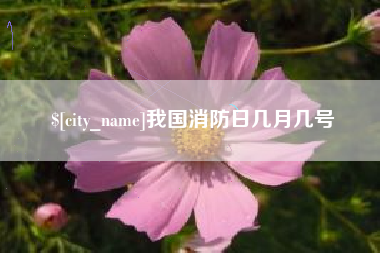 瑞安我国消防日几月几号
