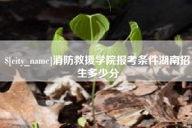 瑞安消防救援学院报考条件湖南招生多少分