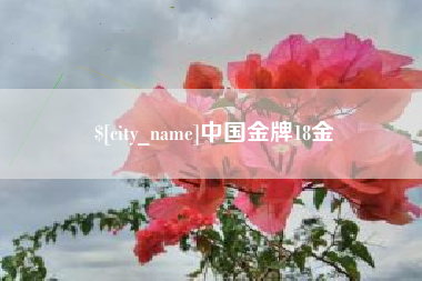 瑞安中国金牌18金