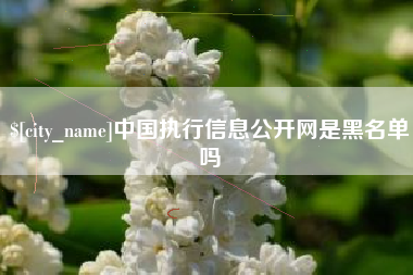 瑞安中国执行信息公开网是黑名单吗