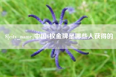 瑞安中国6枚金牌是哪些人获得的