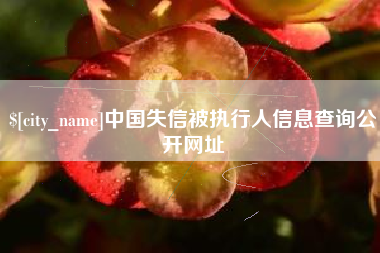 瑞安中国失信被执行人信息查询公开网址
