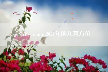 瑞安2021年的九宫方位