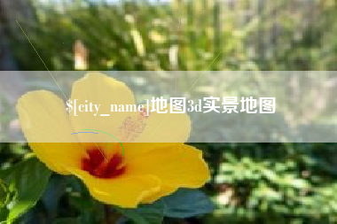 瑞安地图3d实景地图