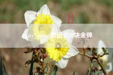 瑞安奥运会39块金牌