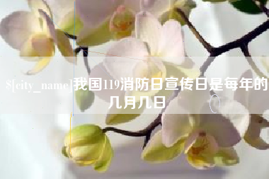 瑞安我国119消防日宣传日是每年的几月几日