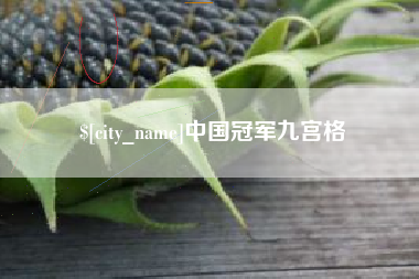 瑞安中国冠军九宫格