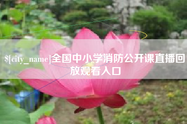 瑞安全国中小学消防公开课直播回放观看入口