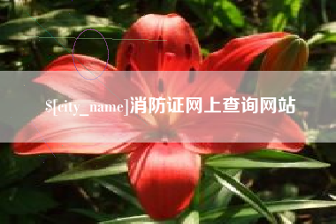 瑞安消防证网上查询网站