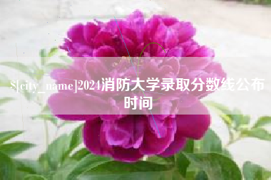 瑞安2024消防大学录取分数线公布时间