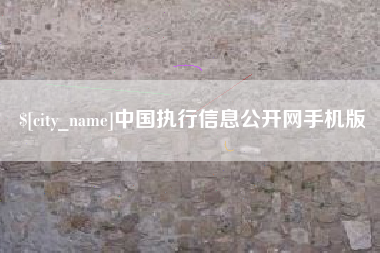 瑞安中国执行信息公开网手机版