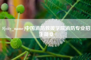 瑞安中国消防救援学院消防专业招生简章