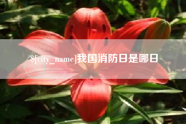 瑞安我国消防日是哪日