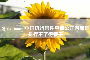 瑞安中国执行案件查询公开网都是执行不了得案子