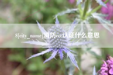 瑞安消防ccc认证什么意思