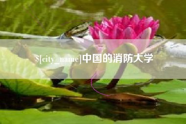瑞安中国的消防大学