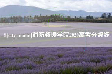 瑞安消防救援学院2020高考分数线
