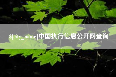 瑞安中国执行信息公开网查询