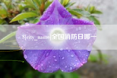 瑞安全国消防日哪一