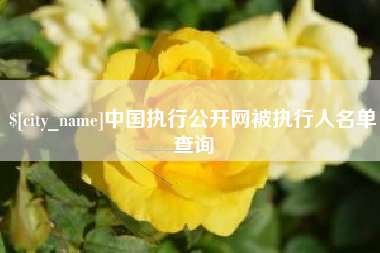 瑞安中国执行公开网被执行人名单查询