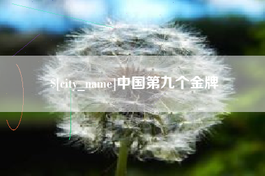瑞安中国第九个金牌
