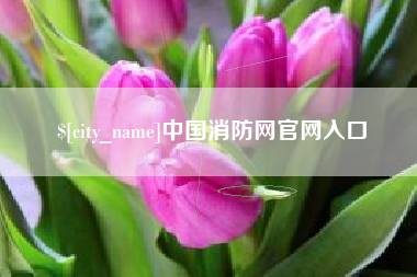 瑞安中国消防网官网入口